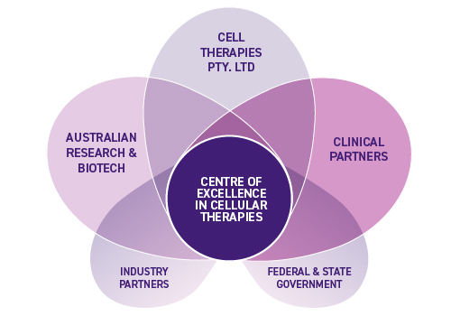 Centre of Excellence in Cellular Immunotherapy